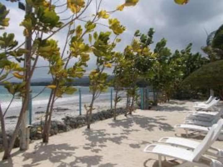 Villa @ The Palms - Ocho Rios Richmond Dış mekan fotoğraf